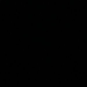 Meet your Posher, Lavina